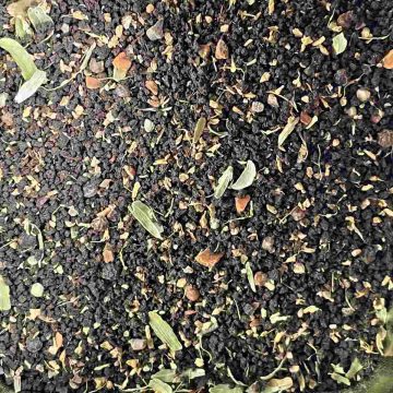 fresh homemade chai spice mix with black tea
