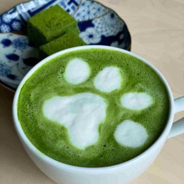 easy matcha latte recipe with frother