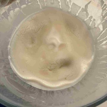 microwave mochi dough until translucent